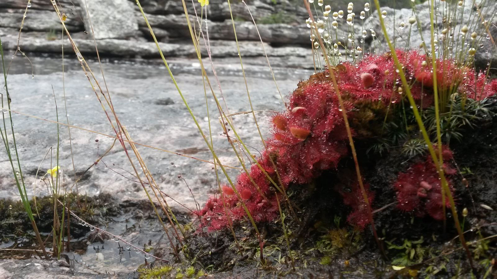 Turismo en America Latina - Chapada Diamantina - Mucugê